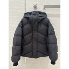 Hermes Down Jackets